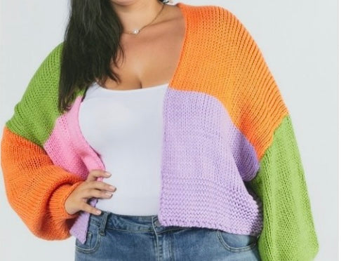 Plus Size Colorblock Cardigan