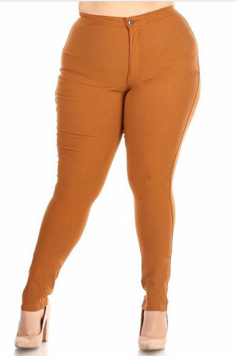 Plus Size  Stretch Jeans